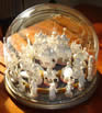 John Company Set - Glass Dome